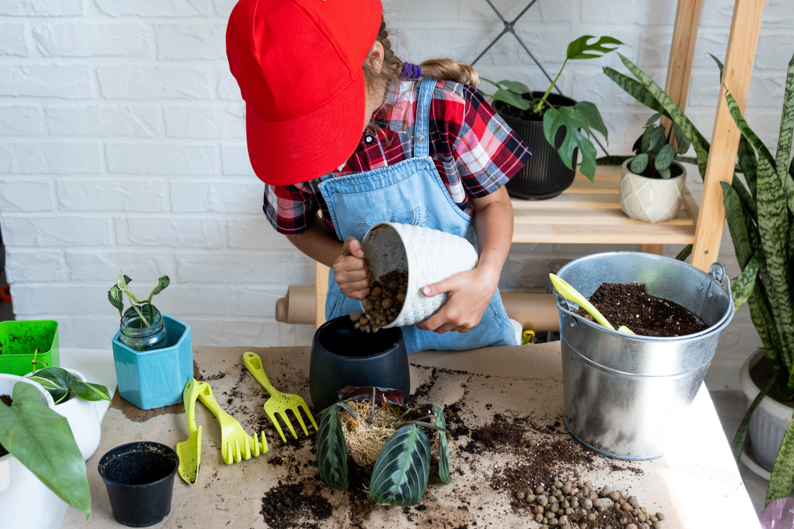 Grow My Garden